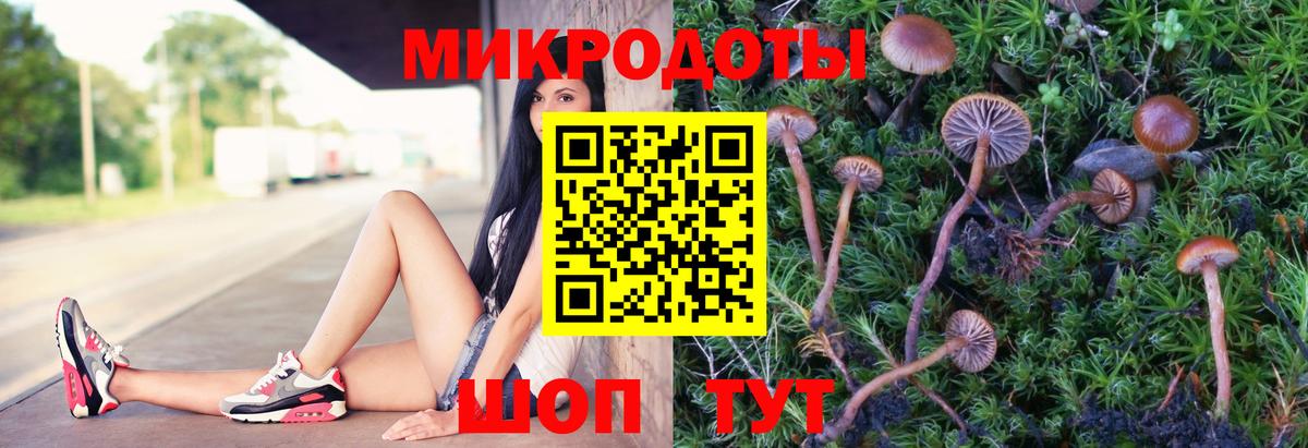 Галлюциногенные грибы мицелий Тихвин