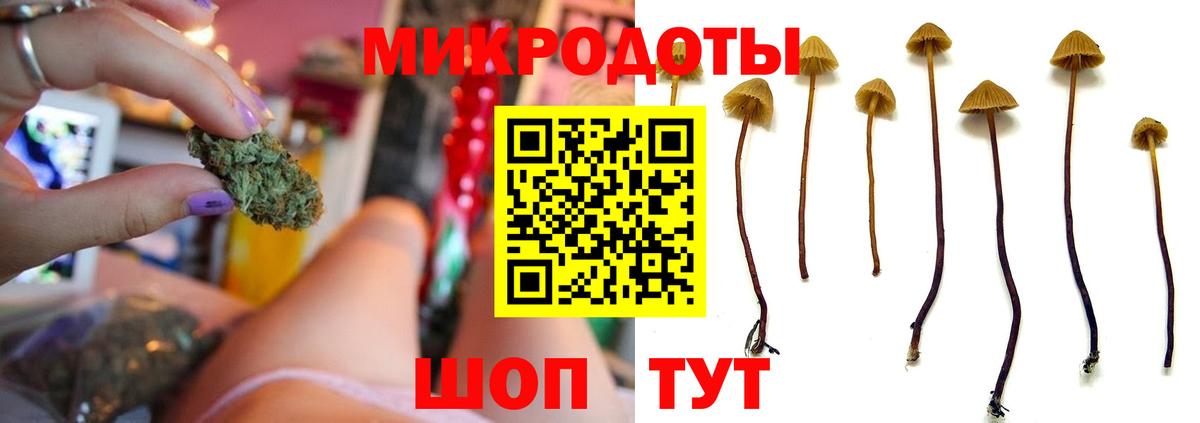 Псилоцибиновые грибы Psilocybine cubensis  Вход с VPN  сколько стоит  Тихвин  Галлюциногенные грибы Psilocybine cubensis 